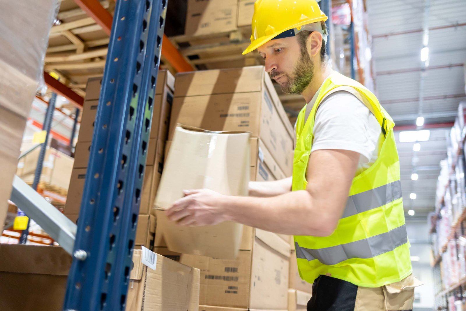 Kit de repartidor profesional